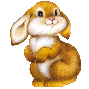 rabbit.gif (8587 bytes)